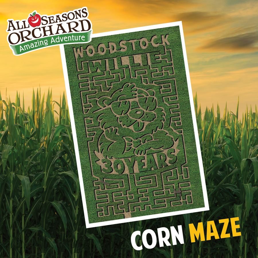 All Seasons Orchard Corn Maze