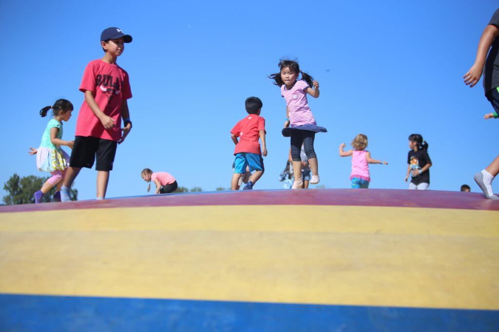 Barnyard Activities All Seasons Orchards
