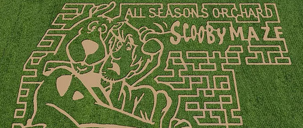 Corn Maze Design Revealed