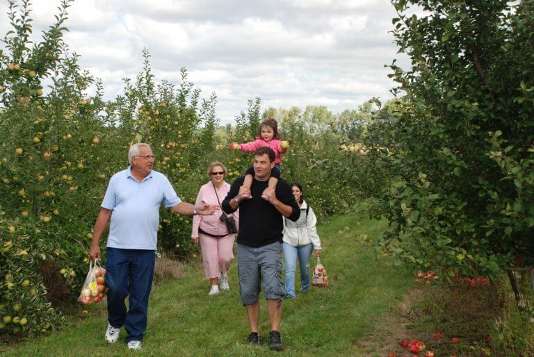 Apple Picking Tips