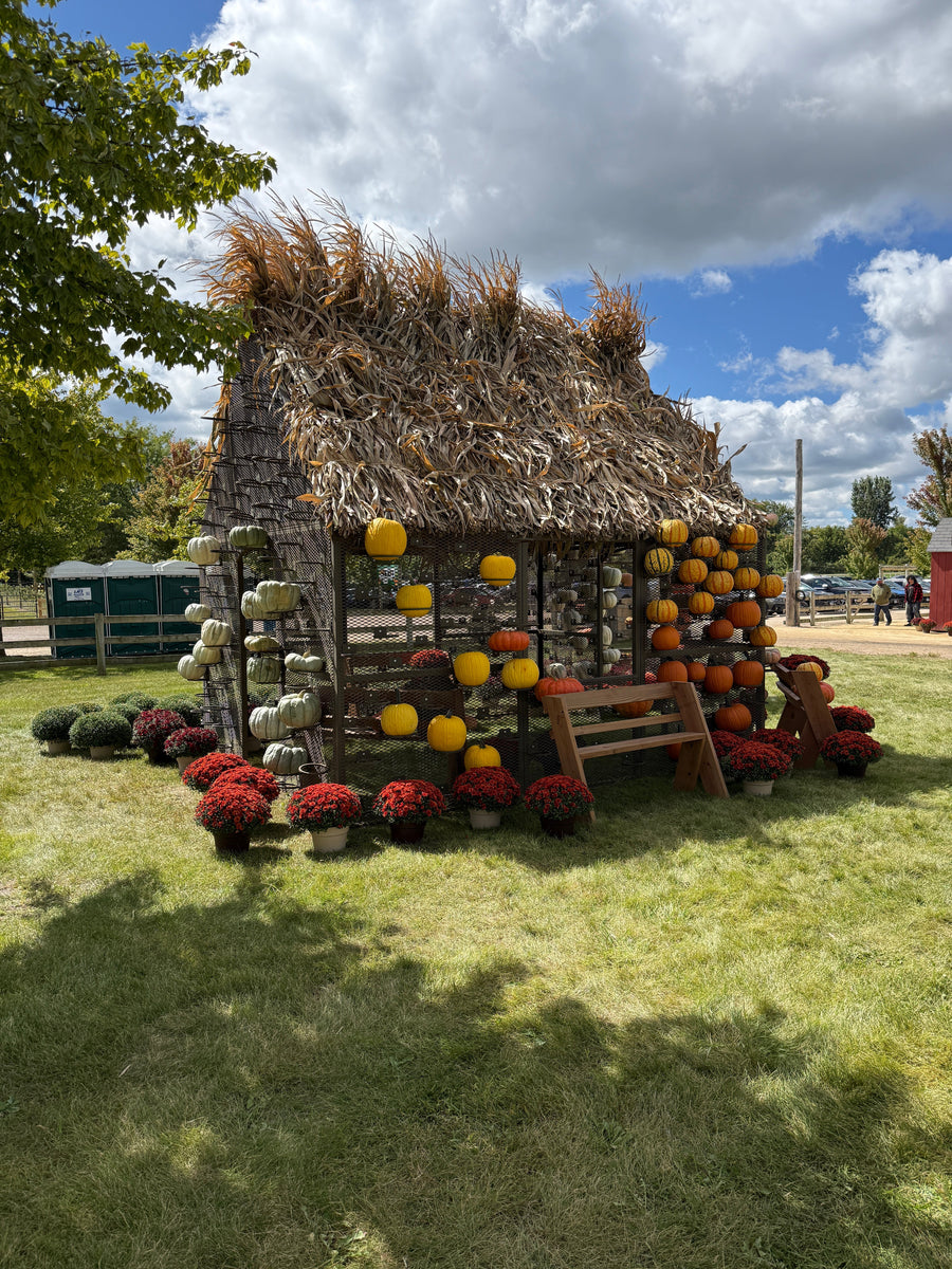 Pumpkin House