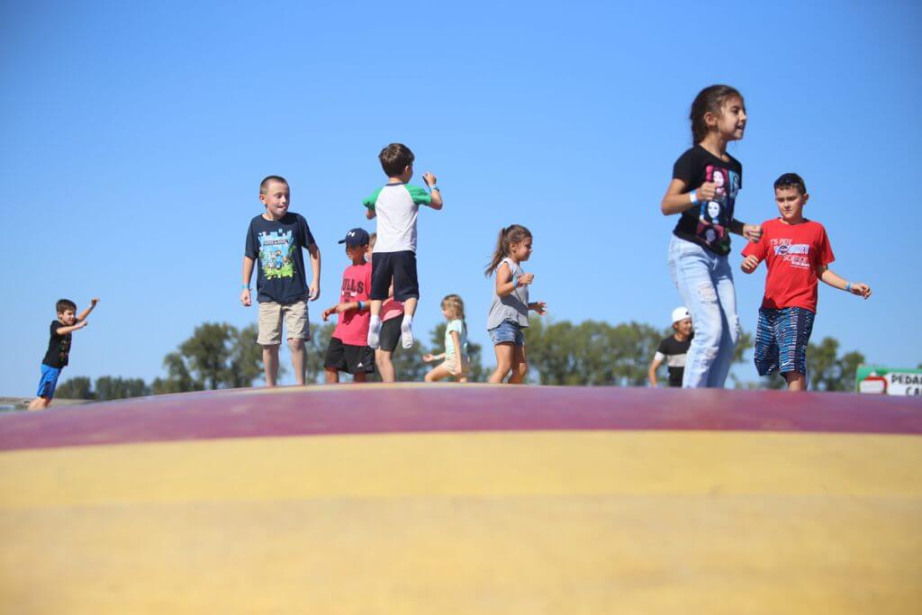 Barnyard Activities All Seasons-Orchard