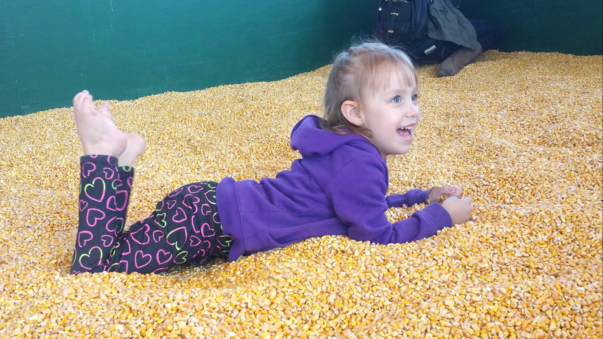 Weekend Barnyard Admission