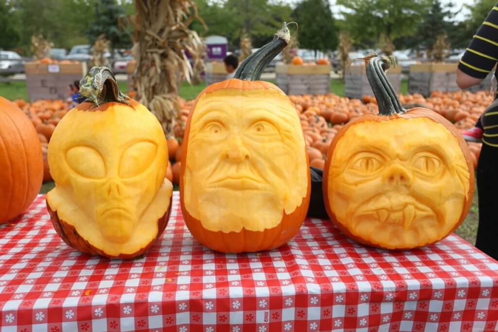 Pumpkin Patch All Seasons