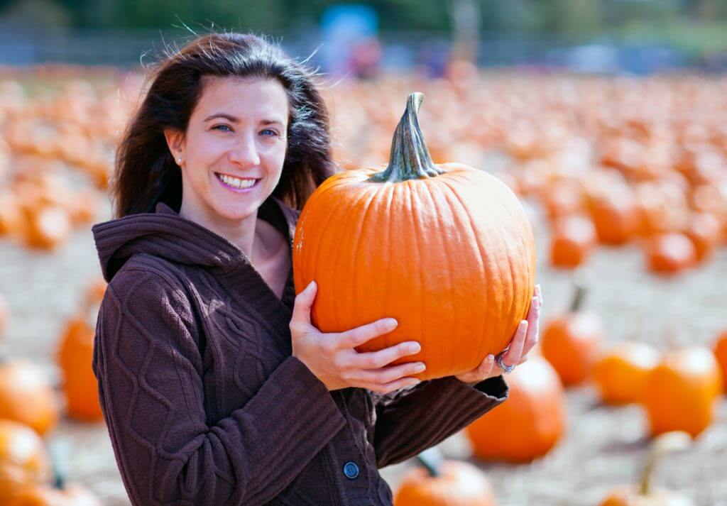 Pumpkin Patch Barnyard Activities all Seasons Orchard
