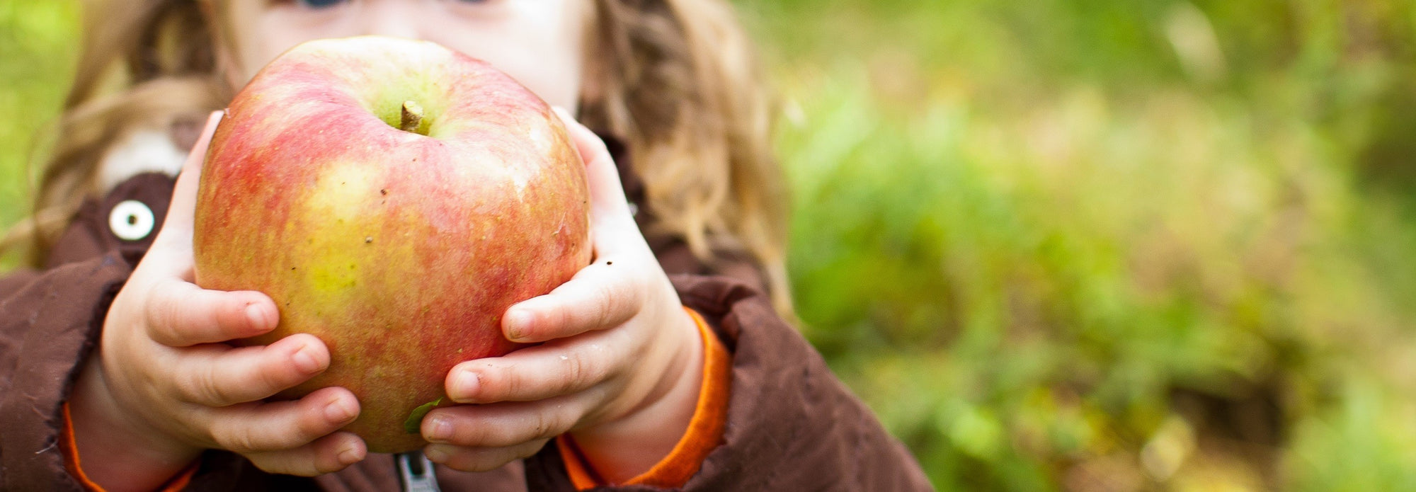 School Field Trips All Seasons Orchard