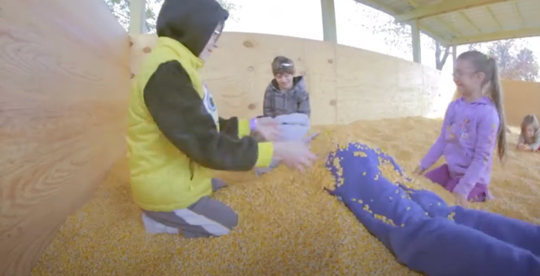 Fall Fun At All Seasons Orchard