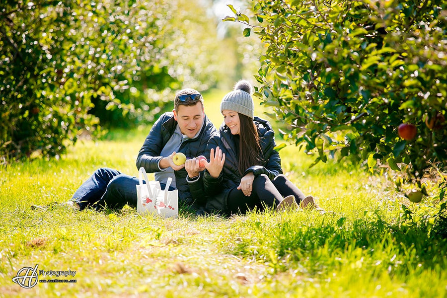 Surprise Proposal Apple Orchard