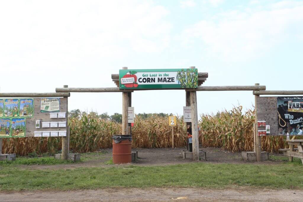 Get Lost In The Corn Maze