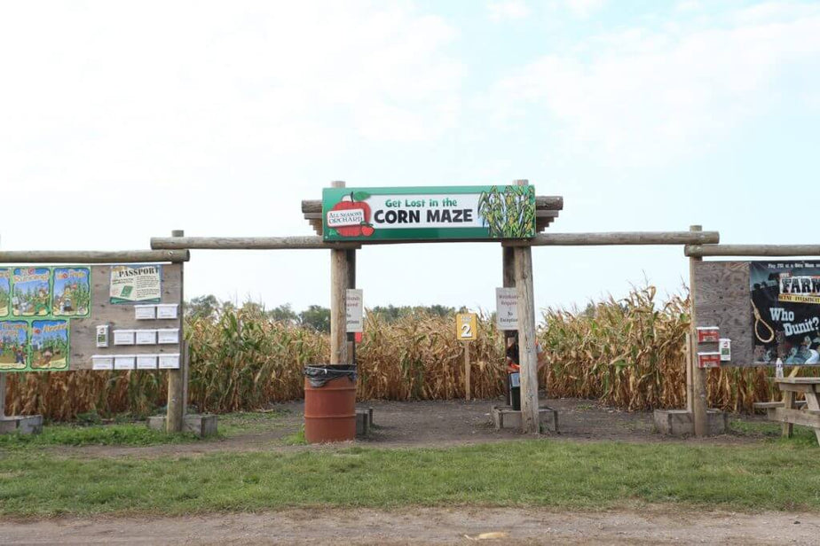 Get Lost In The Corn Maze