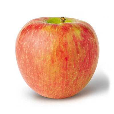 Honeycrisp Apple