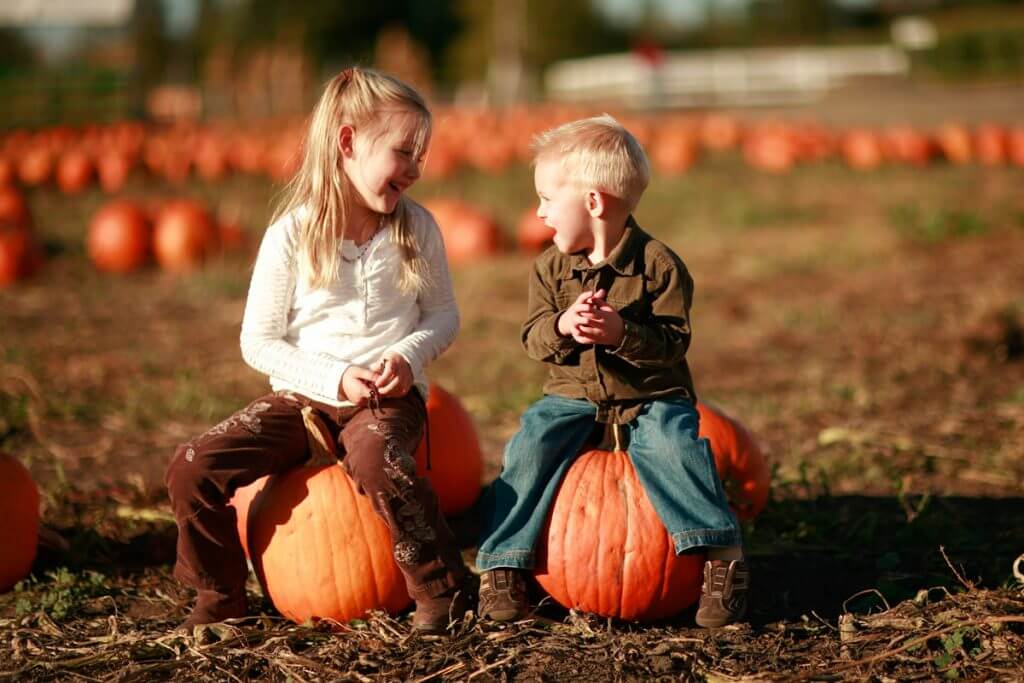 Pumpkin Patch All Seasons