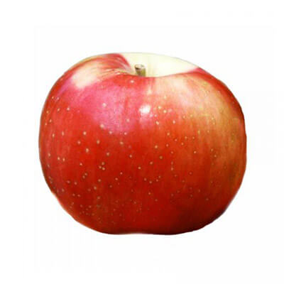 Zestar Apple